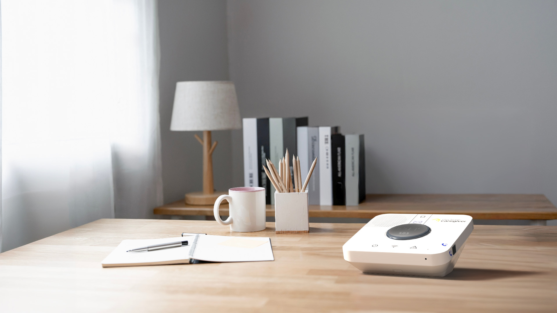 Electronic Caregiver - Pro Health & Peripherals